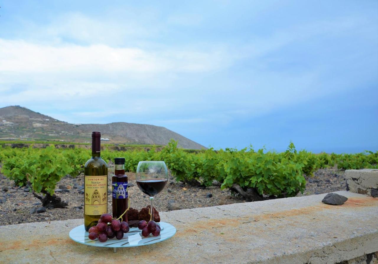 Vineyards Hill Villa Megalohóri Kültér fotó